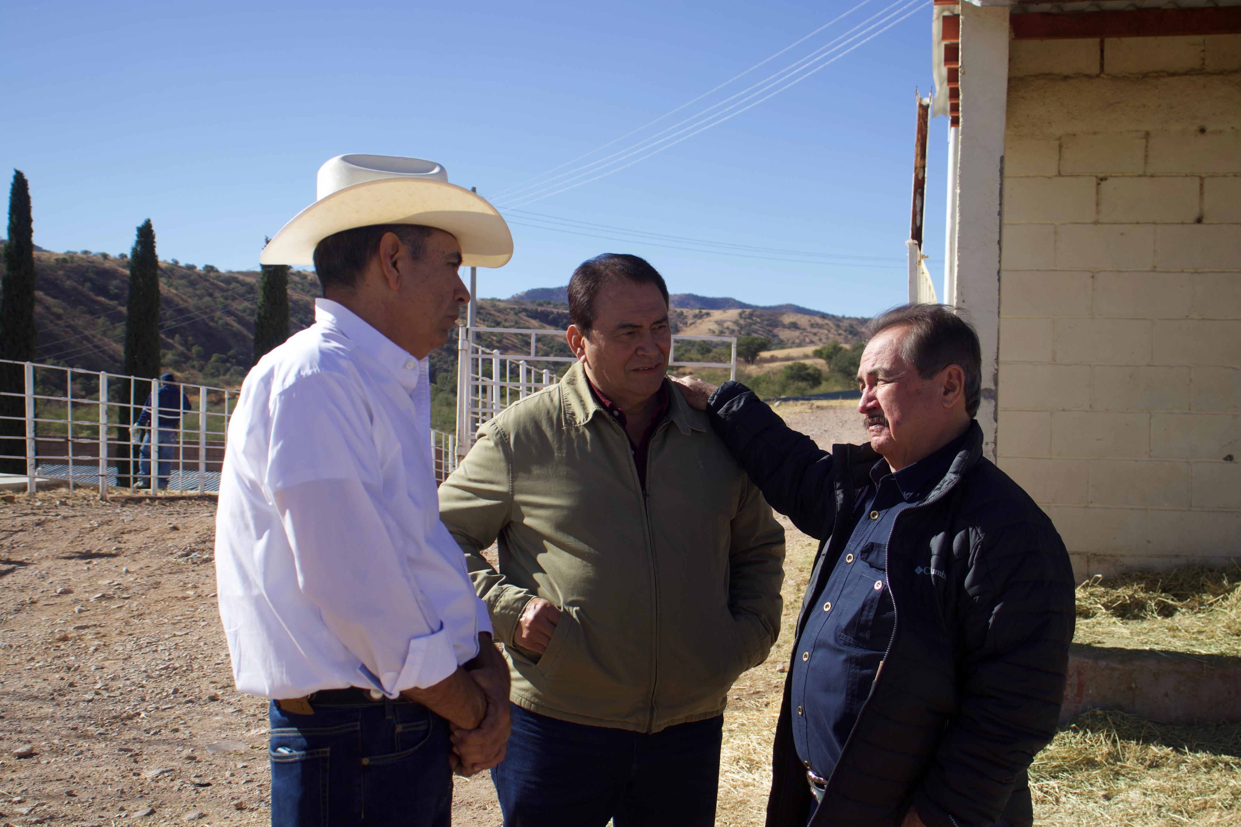 Gobierno de Sonora listo para recibir inspección de EU y reanudar exportación de ganado 